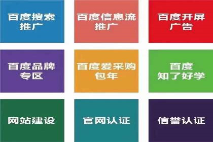 深入解析SEM竞价托管的成功案例